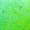 American Crafts Flip Sequin Specialty Paper 8.5"X11"-Black & Green